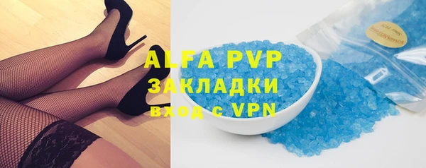 крисы Козельск