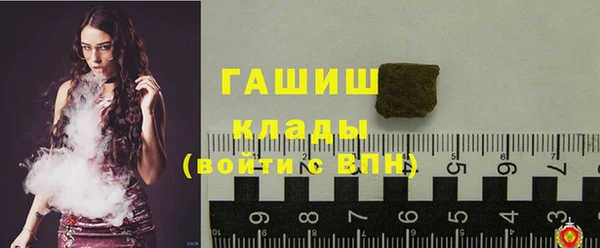 крисы Козельск