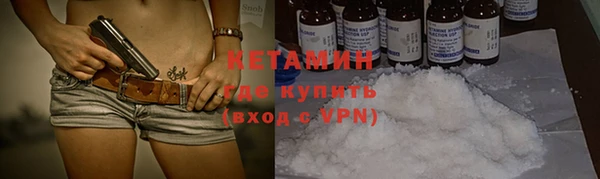 крисы Козельск