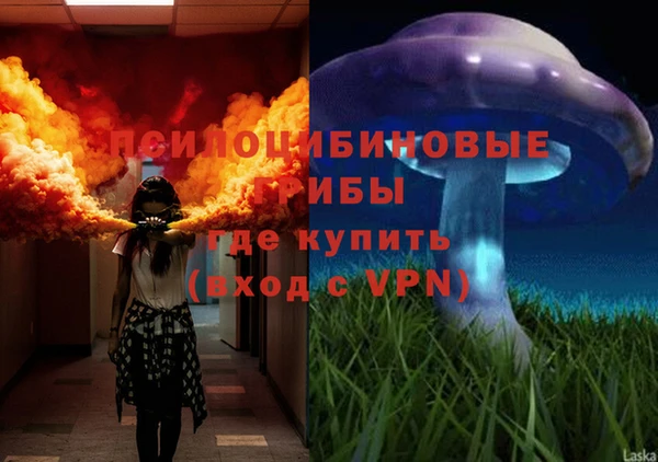 крисы Козельск