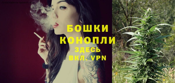 МДПВ Кодинск