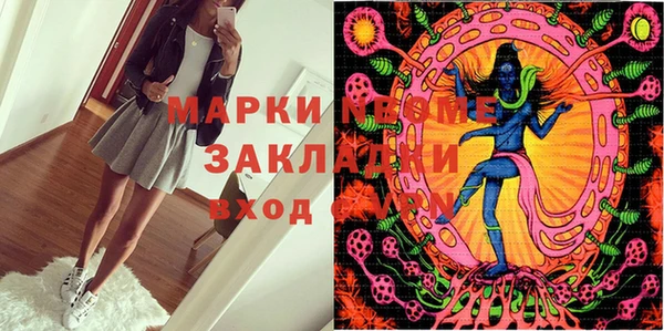 крисы Козельск