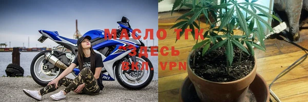 крисы Козельск