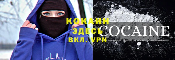 крисы Козельск